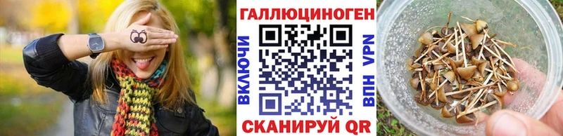 Псилоцибиновые грибы MAGIC MUSHROOMS  Альметьевск 